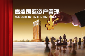 高盛國際資產(chǎn)網(wǎng)站案例